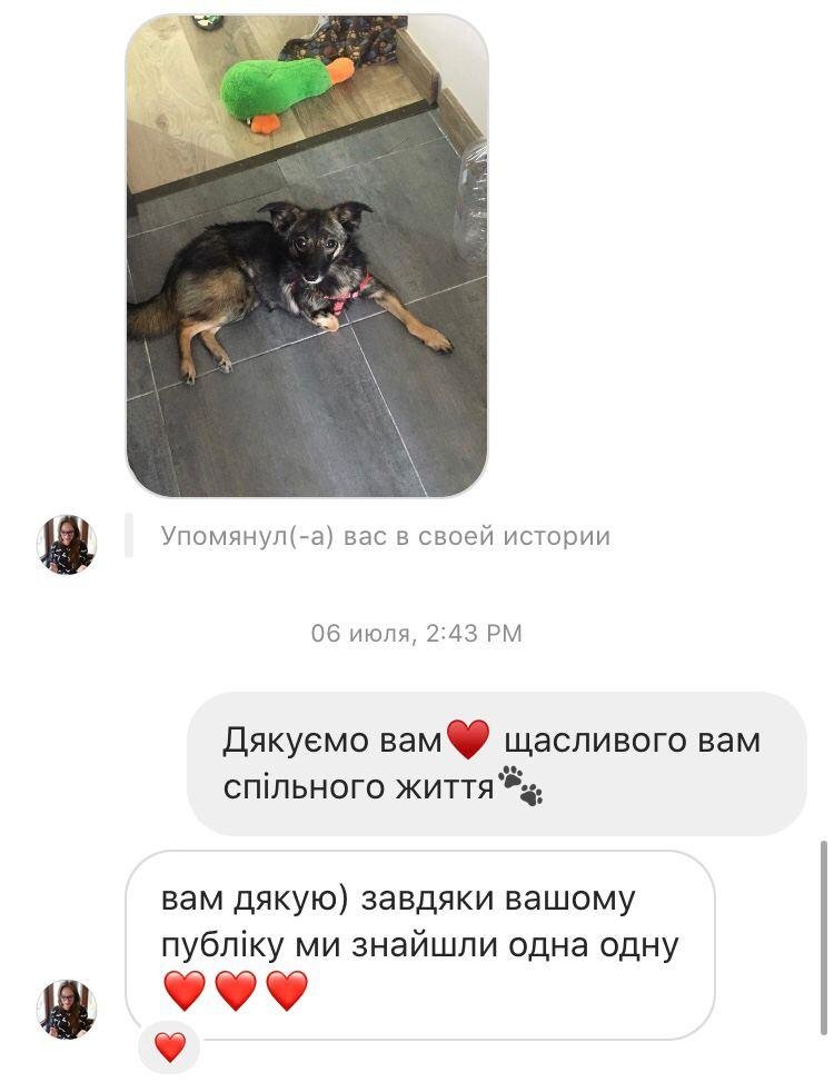 Подяки від господарів тваринок "Львівським лапам" Подяки від господарів тваринок "Львівським лапам"