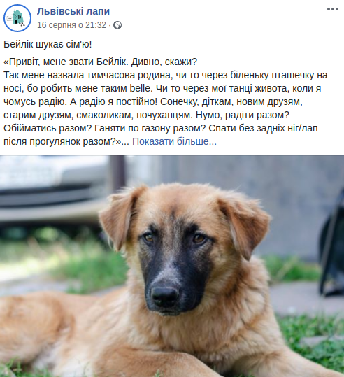 Допис від імені собачки у "Львівських лапах" Допис від імені собачки у "Львівських лапах"