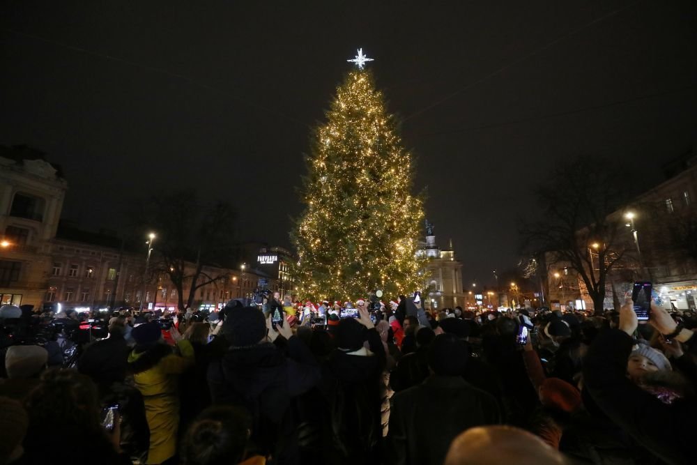 Фото львов 2021