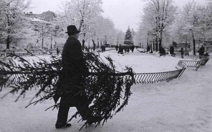 Зимовий Львів у 1960 році, Фото - Юліан Дорош