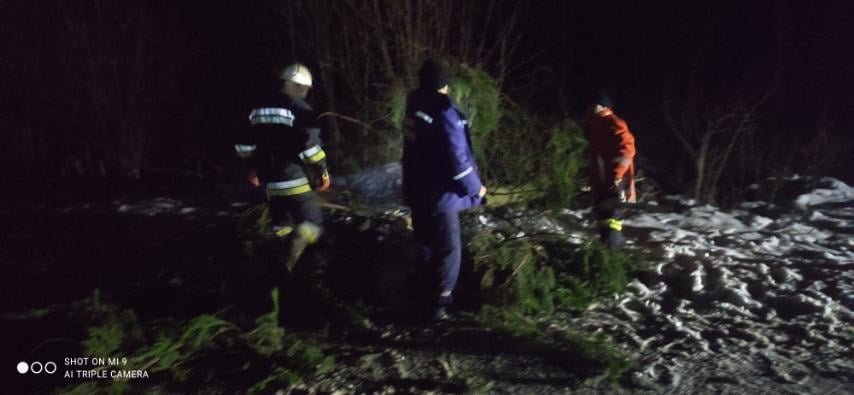 На Львівщині впало дерево, Фото: пресслужби ДСНС у Львівській області