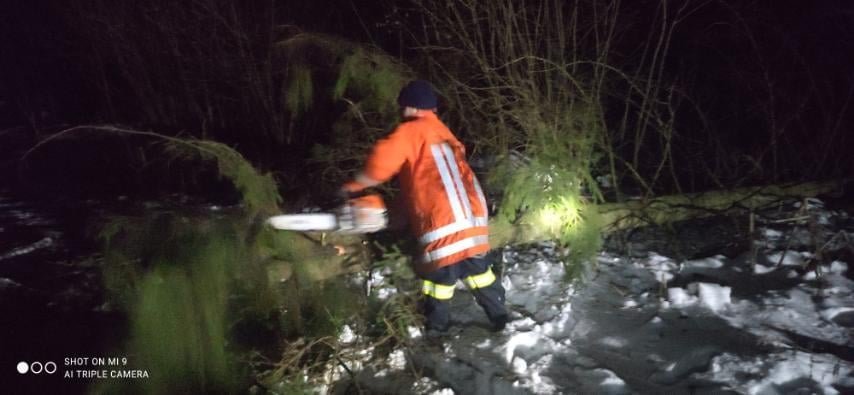 На Львівщині впало дерево, Фото: пресслужби ДСНС у Львівській області