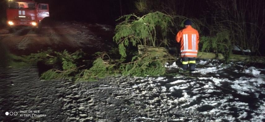 На Львівщині впало дерево, Фото: пресслужби ДСНС у Львівській області