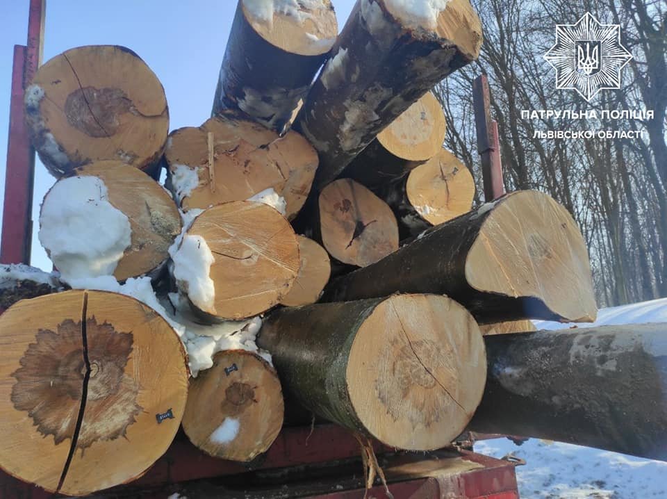 Патрульні викрили 4 вантажівки з незаконною деревиною, Фото: патрульна поліція Львівщини