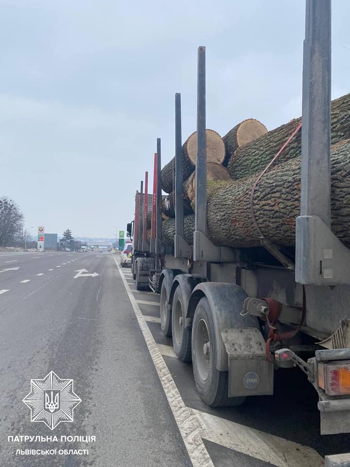 На Львівщині зупинили чотири вантажівки з незаконною деревиною, - ФОТО