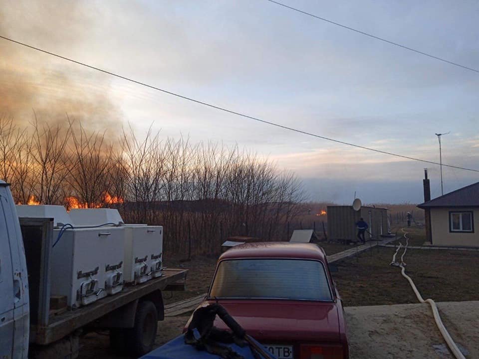 Вогонь знищив понад 1,5 га сухої трави, Фото: ДСНС Львівщини