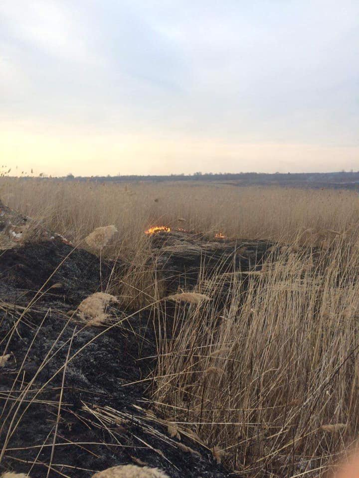Вогонь знищив понад 1,5 га сухої трави, Фото: ДСНС Львівщини