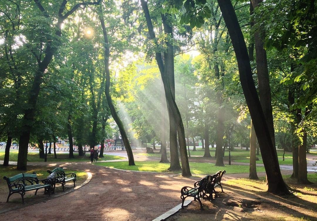Парки Львова: 10 локацій для весняних прогулянок у місті, - ФОТО