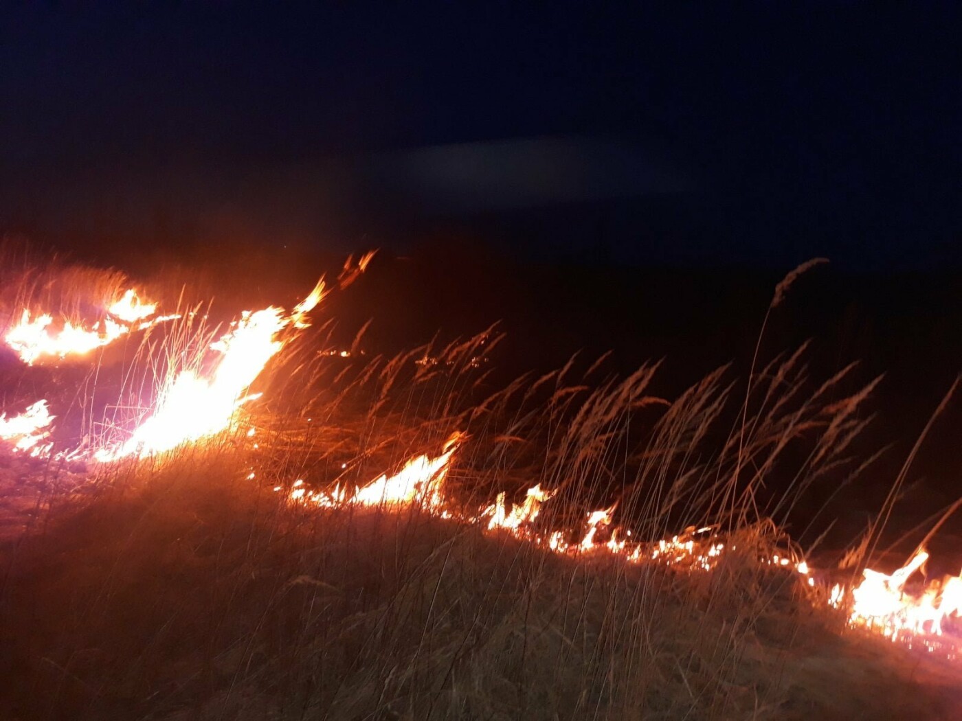 За добу на Львівщині - 46 пожеж сухої трави