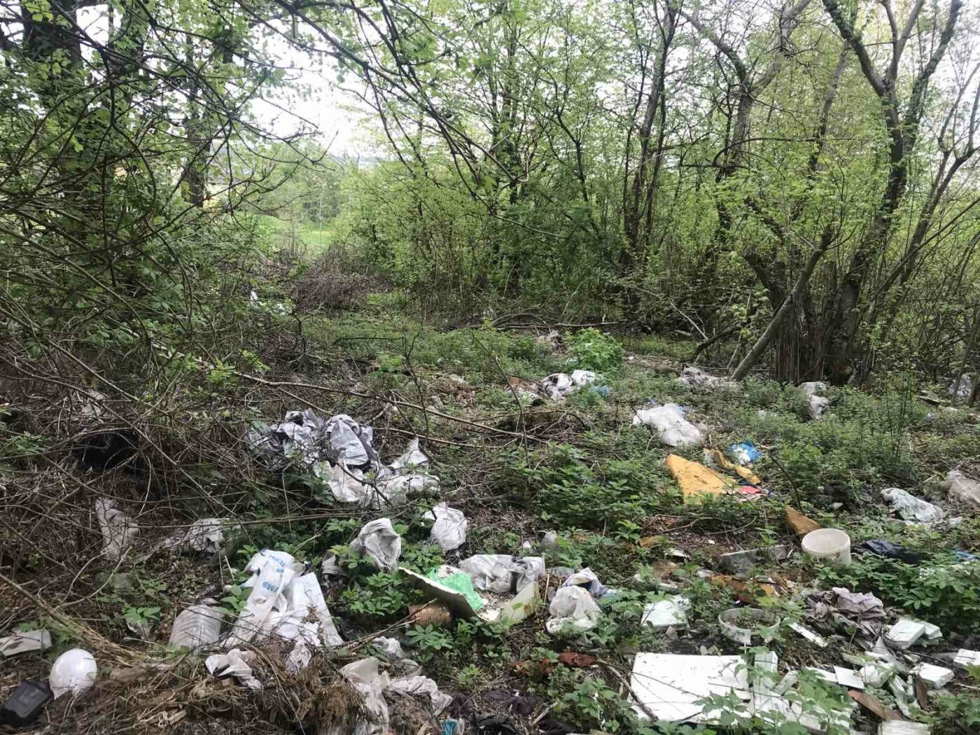 На території Солонківської сільської ради виявлено понад 30 несанкціонованих звалищ відходів, Фото: lviv.dei.gov.ua