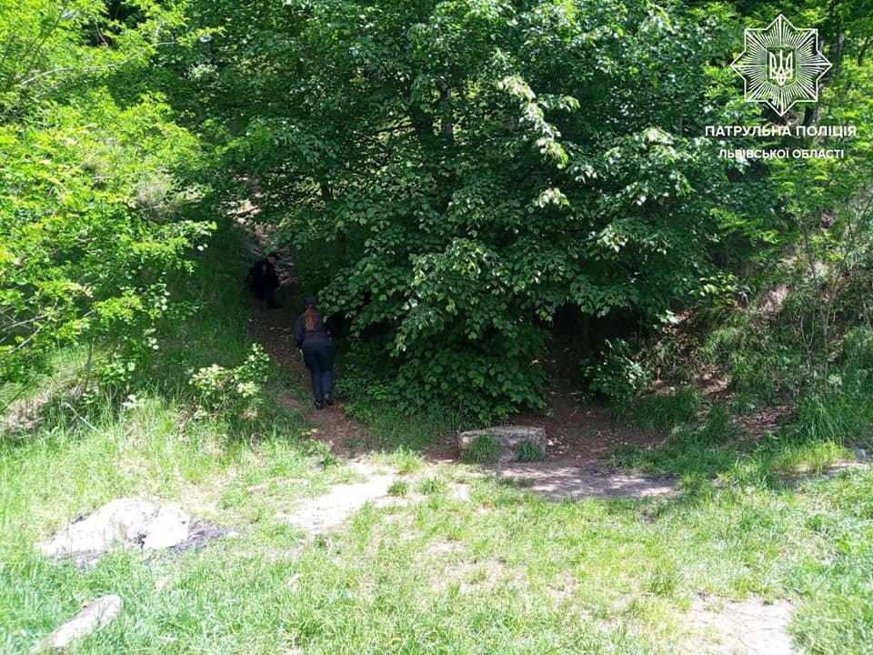 У Львові патрульні врятували дику качку з каченятами, - ФОТО, фото-2 У Львові патрульні врятували дику качку з каченятами, - ФОТО, фото-2, Фото: Патрульна поліція Львівської області
