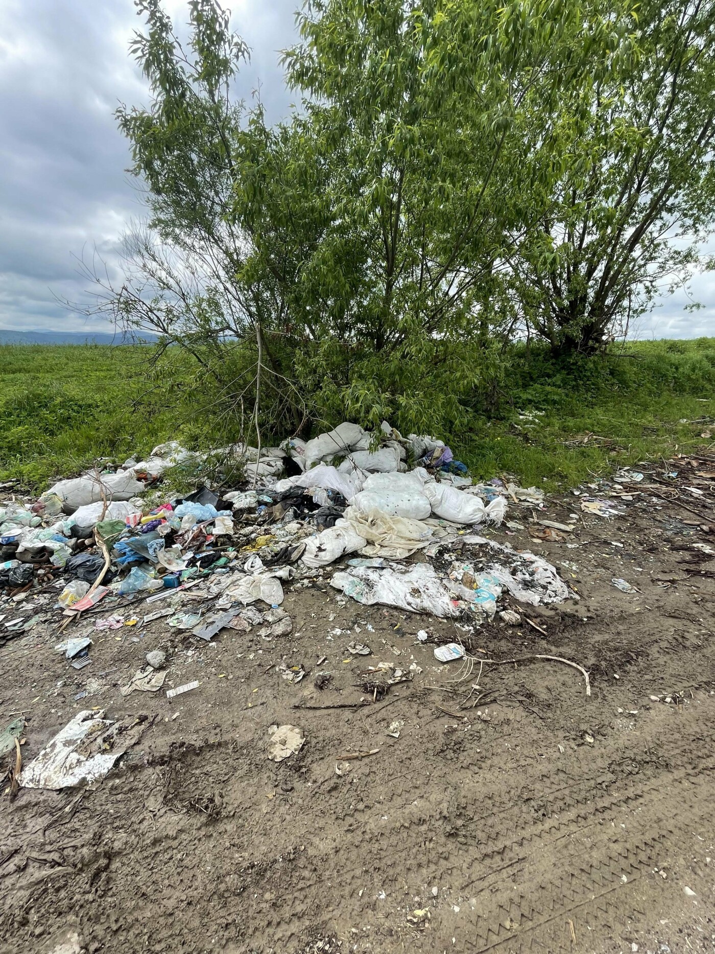 Несанкціоноване сміттєзвалище на Львівщині, Фото - Державна екологічна інспекція на Львівщині