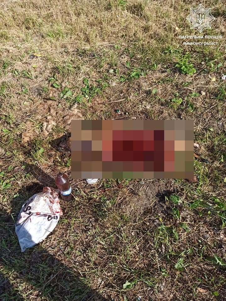 Чоловік жорстоко вбив собаку, Фото: патрульна поліція