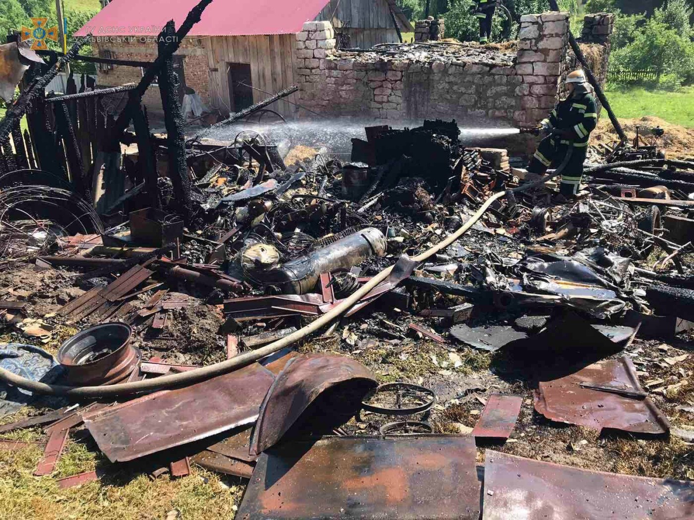На Львівщині врятували під час пожежі пʼять свійських тварин, - ФОТО, фото-2, Фото: ДСНС України у Львівській області