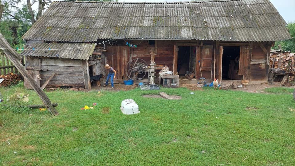 У селі на Львівщині сім'я приручила дику козулю, Фото - Бродівська МР