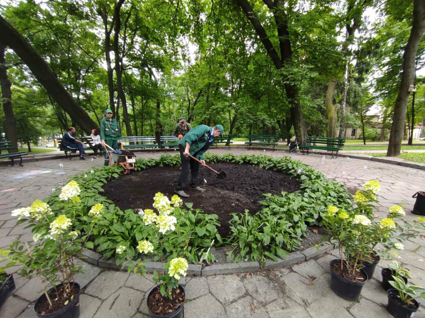 У парку Франка з’явився 