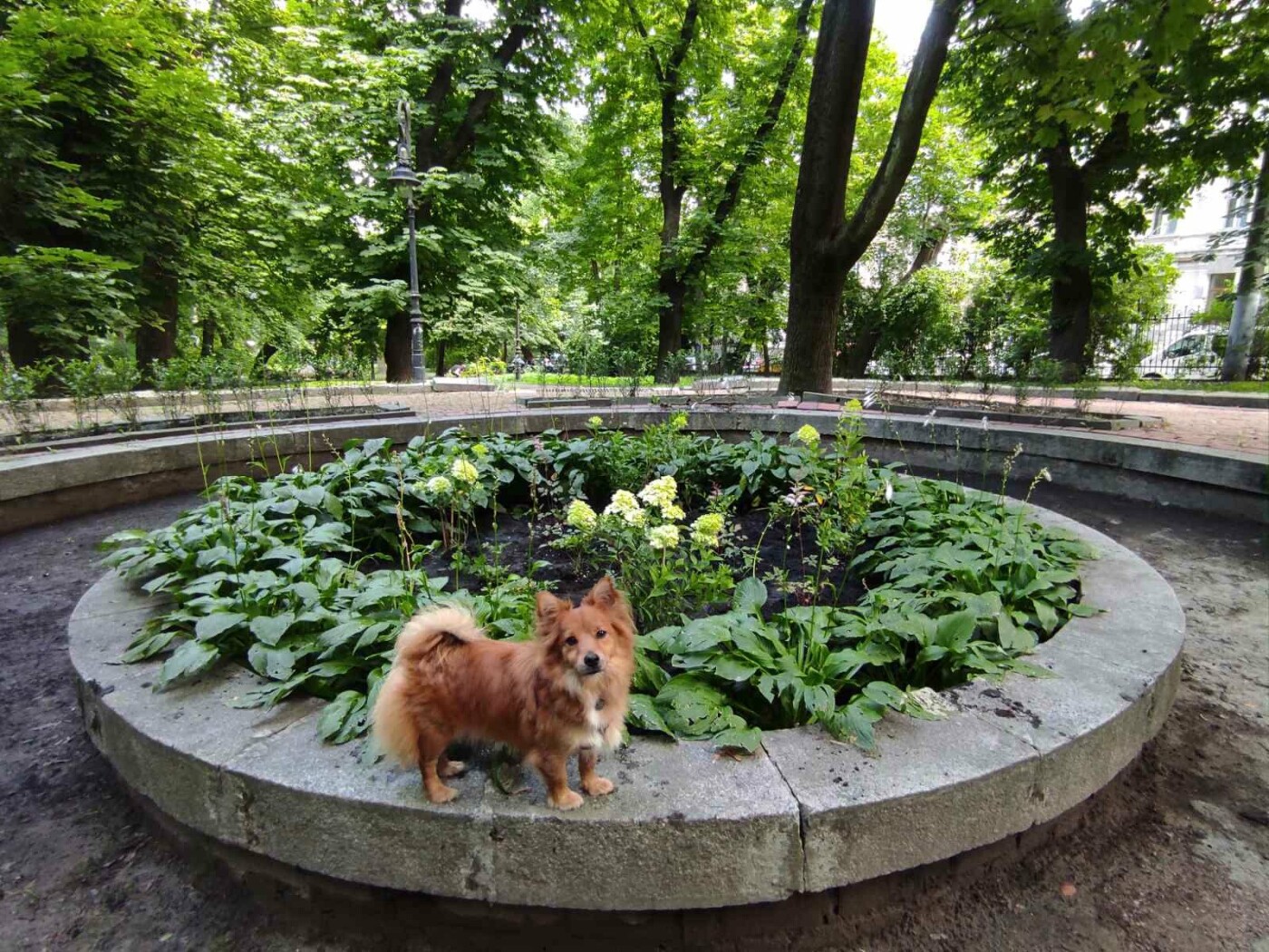 У парку Франка заквітчали клумби, Фото: Oksana Lutsko
