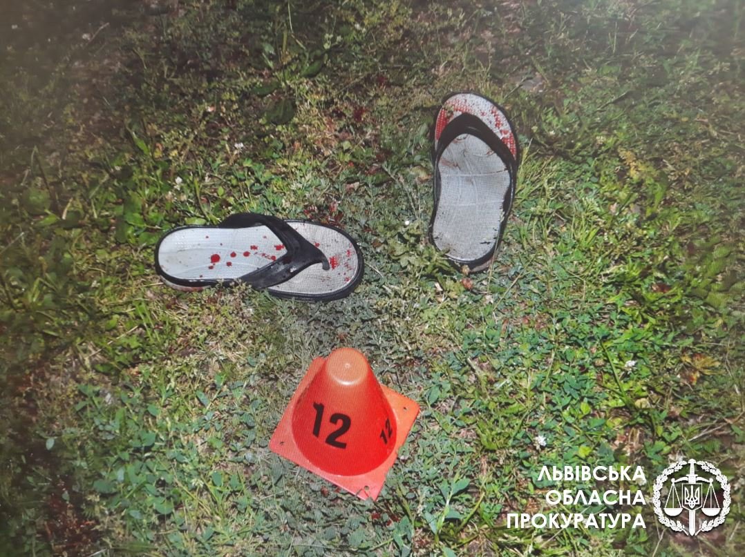 «Хотів попробувати як це вбивати людину»: на Львівщині взяли під варту вбивцю двох людей