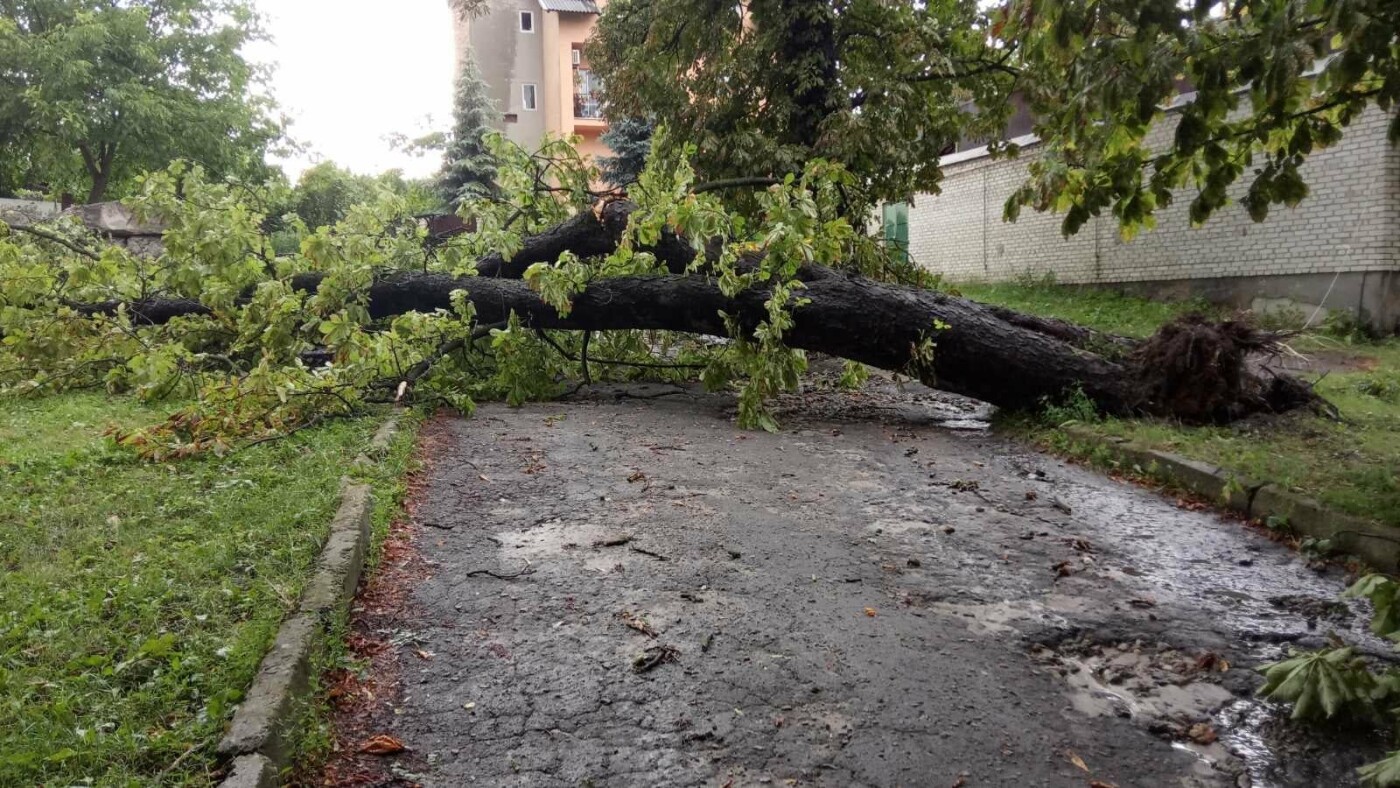 Буревій у Золочеві: зірвані дахи та деревопад, - ФОТО, ВІДЕО