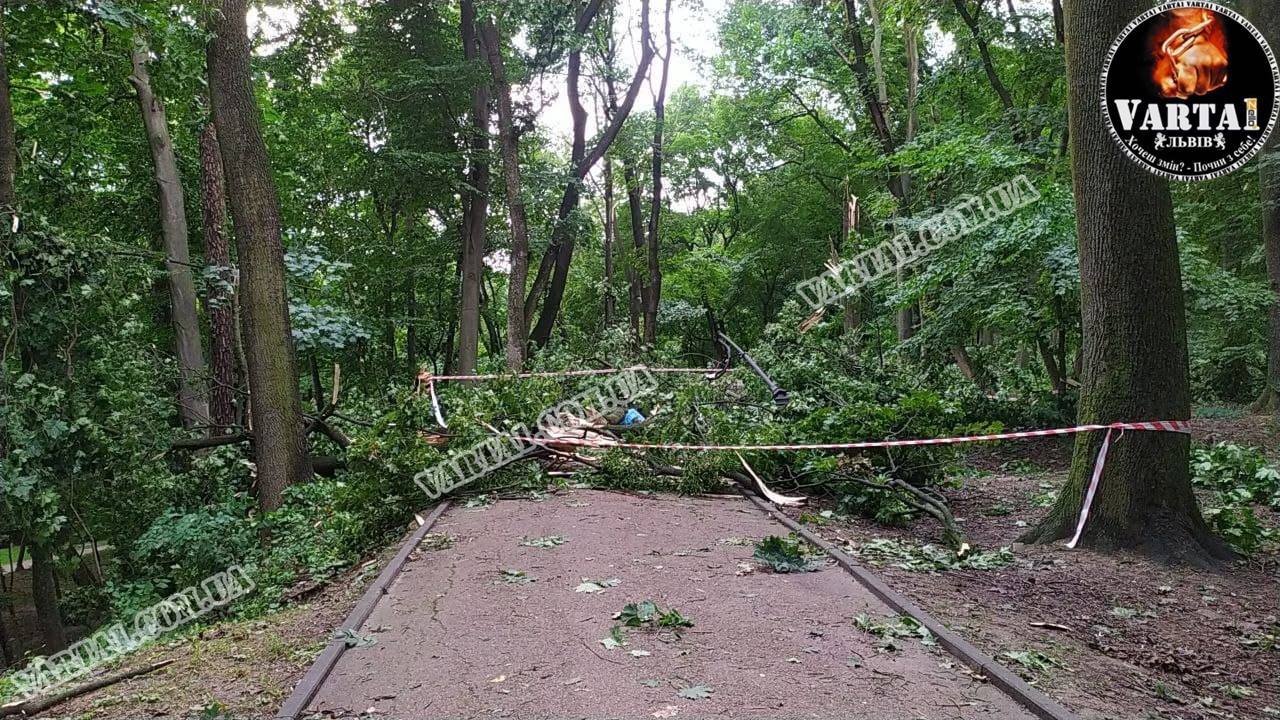 Дерево вбило молоду пару у львівському парку: загиблим виявився курсант Академії сухопутних військ