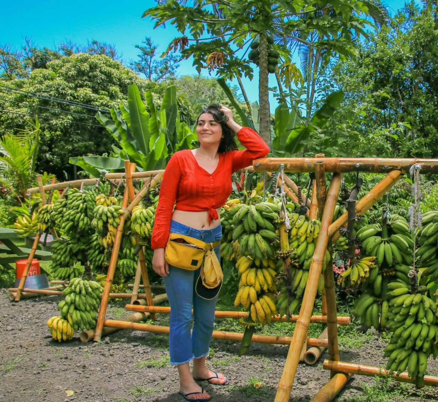 Бананова ферма у селі Липники