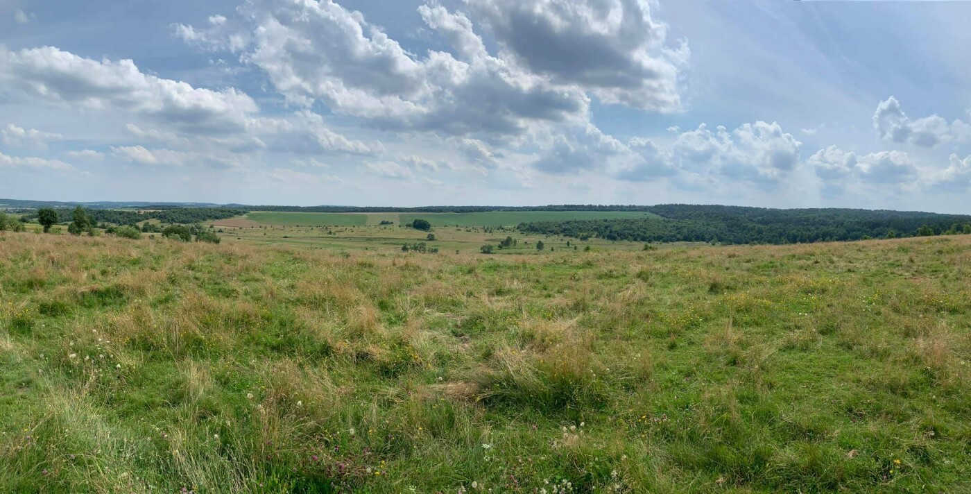 Краєвиди Розточчя, Фото: Яворівський національний природний парк, фейсбук