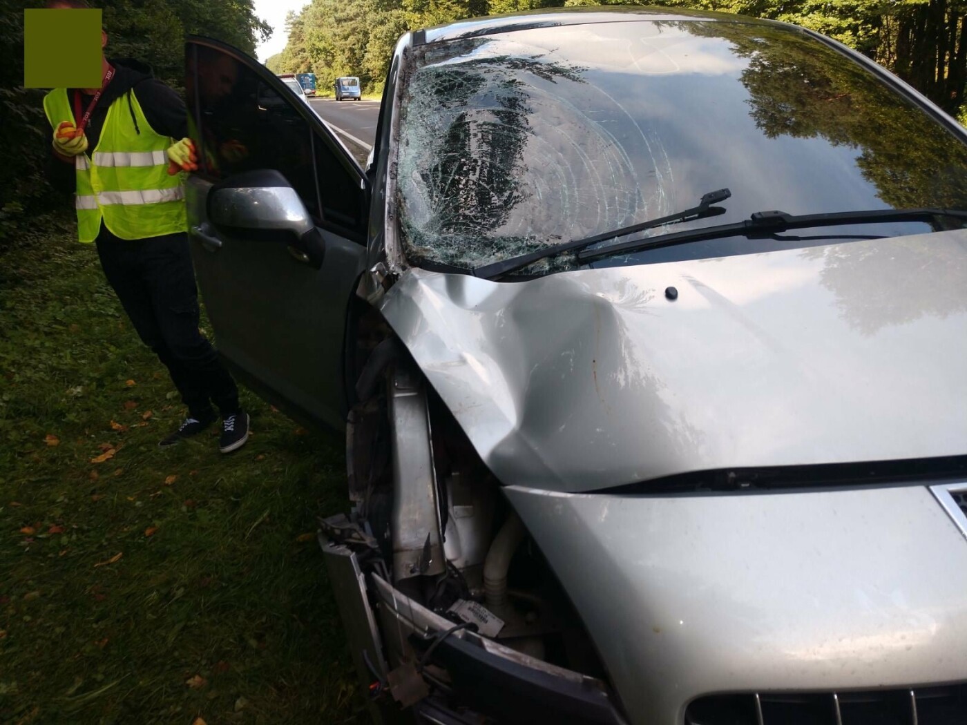Водій та пасажир, що перебували в авто, не постраждали, Фото: Держекоінспекція