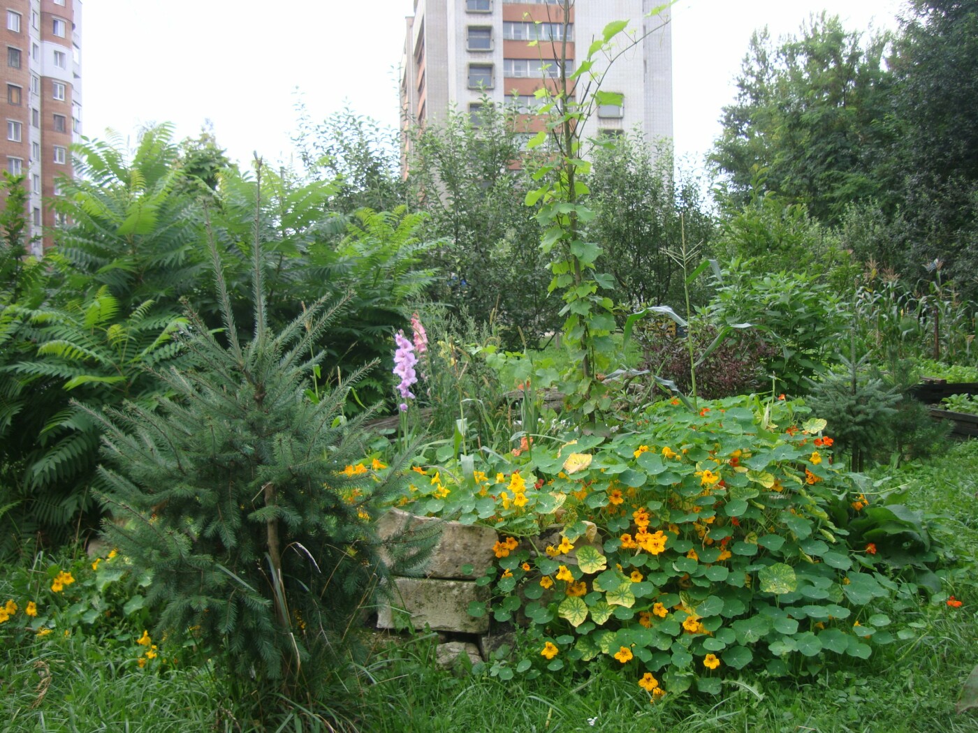 Мінідендропарк, Фото: Юрій Волощак