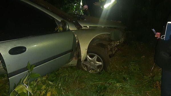 Через нетверезого водія на Львівщині загинула 17-річна пасажирка Renault 