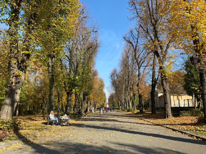Осінь у Стрийському парку Львова, - ФОТОРЕПОРТАЖ
