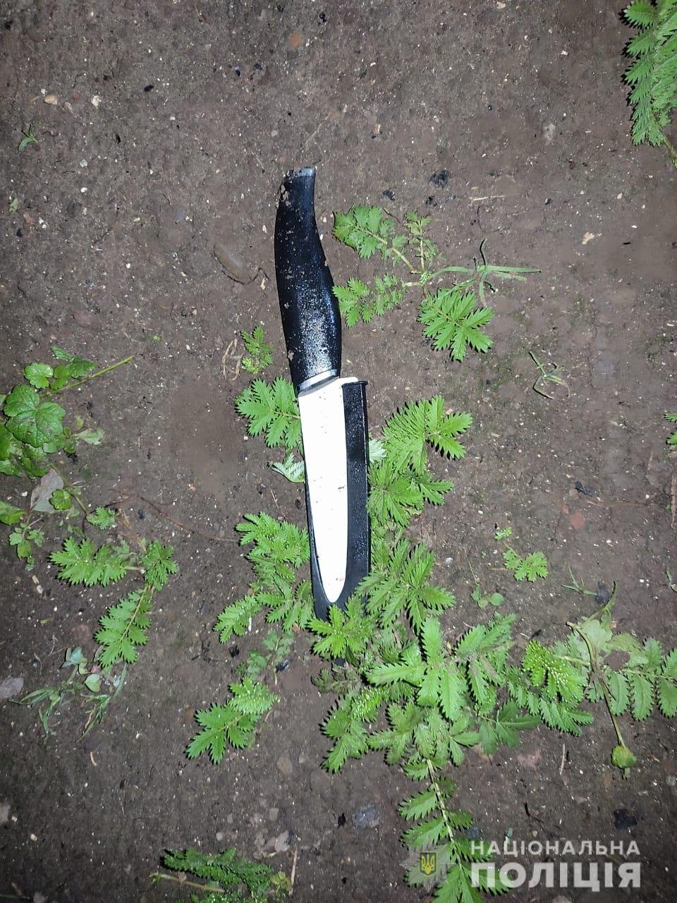 На Львівщині раніше судима жінка ножем вбила свого співмешканця 