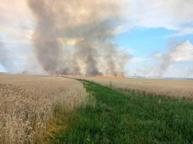 У Генштабі показали, як окупанти знищують пшеницю на українських полях, - ФОТО 