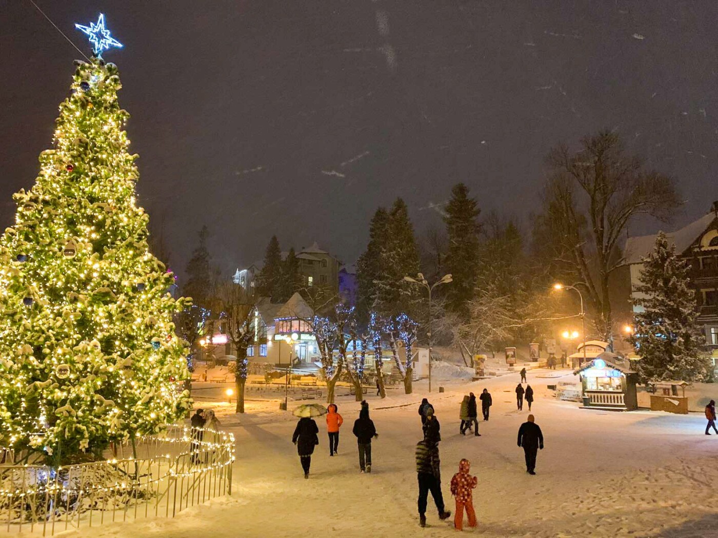 Святкова ялинка у Трускавці, Фото - з відкритого доступу