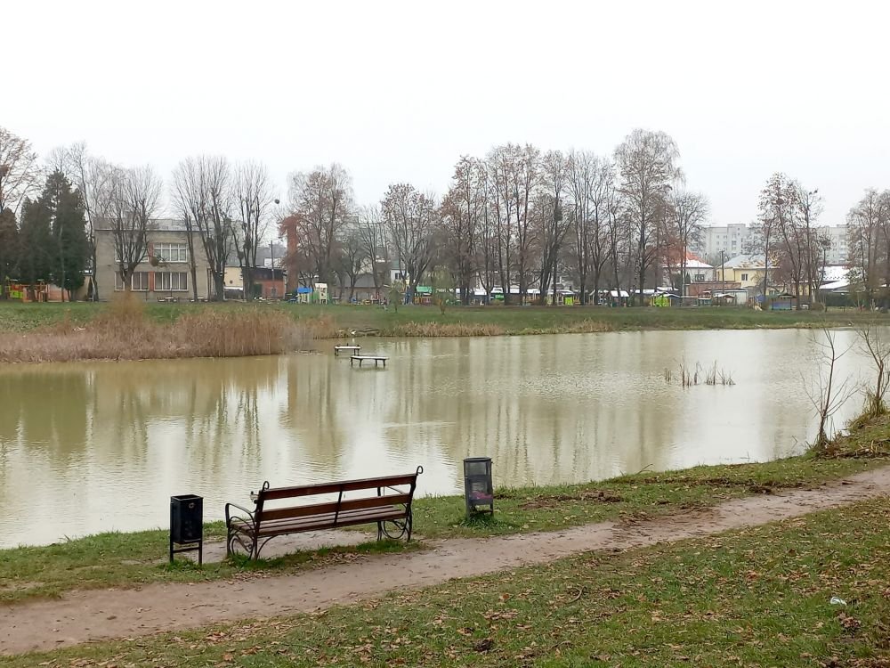У Львові в Горіховому гаю чистять озеро