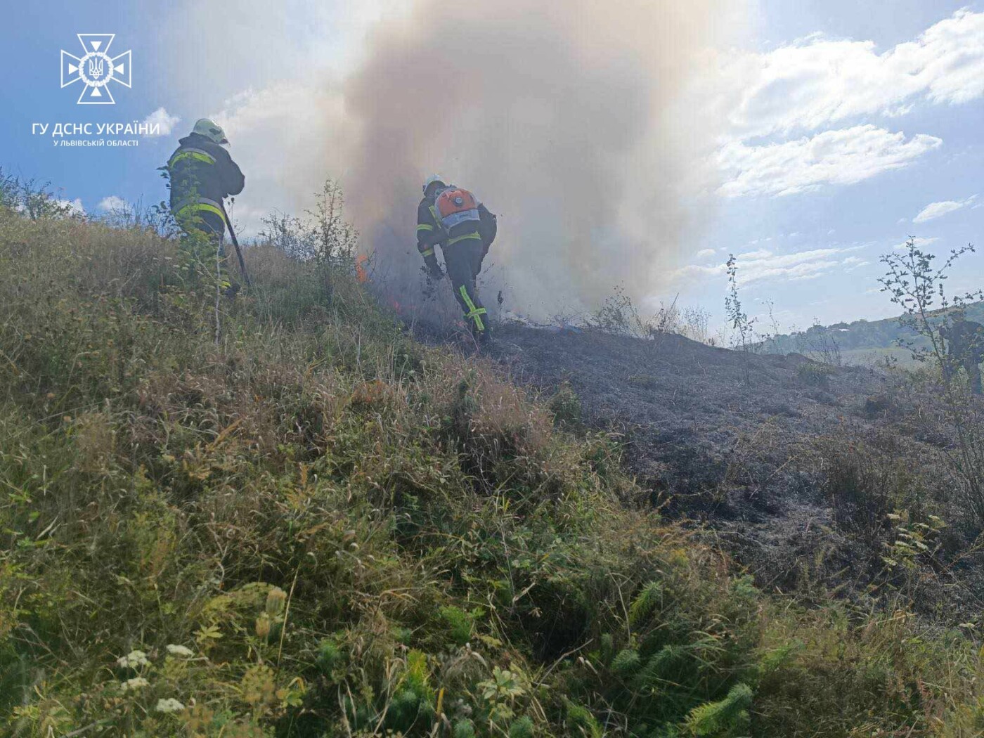 На Львівщині пожежники гасили сухостій  на площі 500 кв.м., - ФОТО