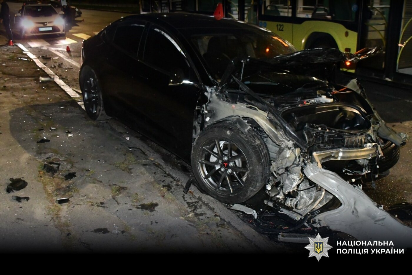 � ����� Tesla ��������� � Nissan: ����������� ��� �����, - ����, ����-2