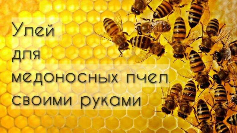 Сколько времени уходит для создания улья из камыша