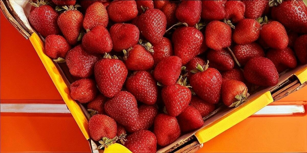 упаковка для ягід і фруктів