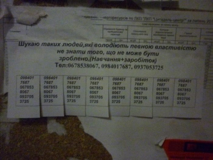 Дивне оголошення у Львові: тих, хто його зрозумів, поки не знайшлося (Фотофакт) (фото) - фото 1