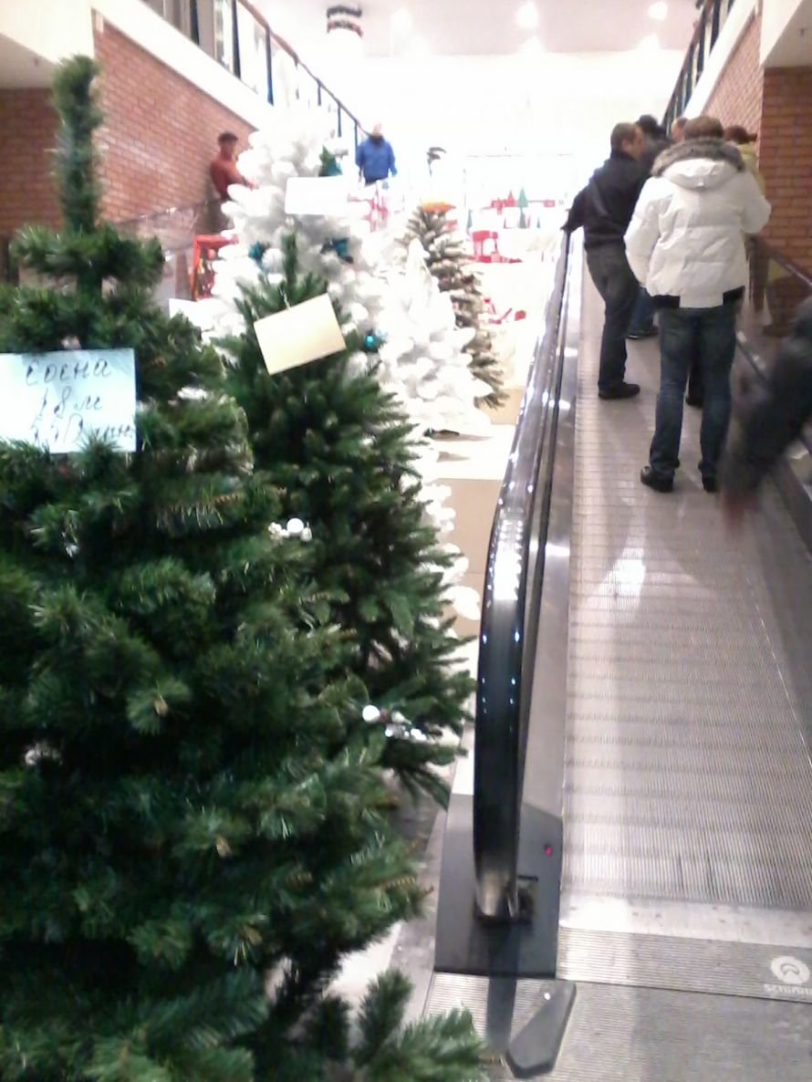 2012-12-10 19.14.48