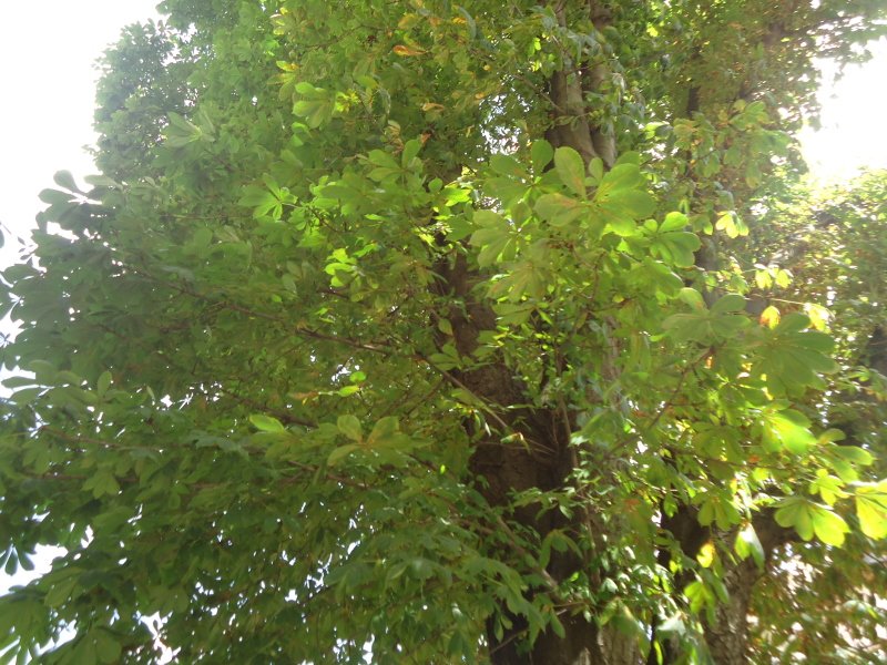 DSC00173