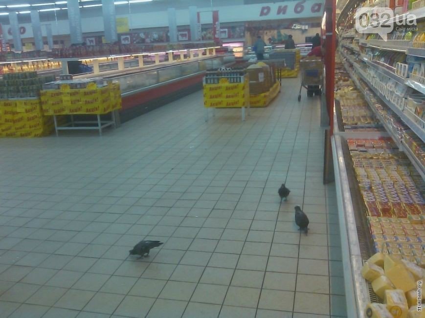 480b40cb51f260c948c527df8289fa4c