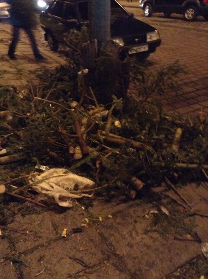 1544548_522940777812997_904108784_n