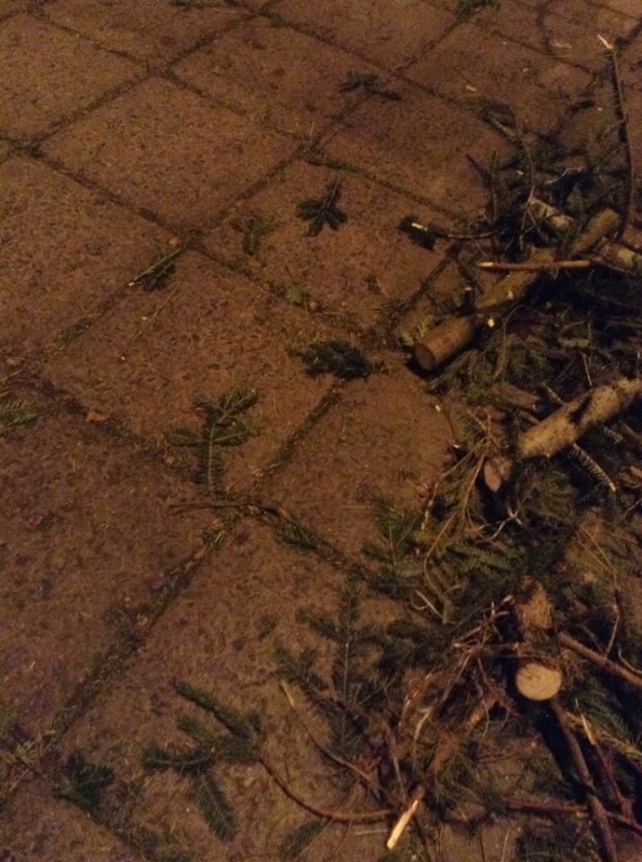 1555591_522940774479664_802406008_n