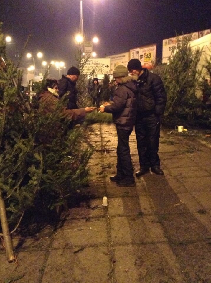 1466018_522940857812989_652683813_n