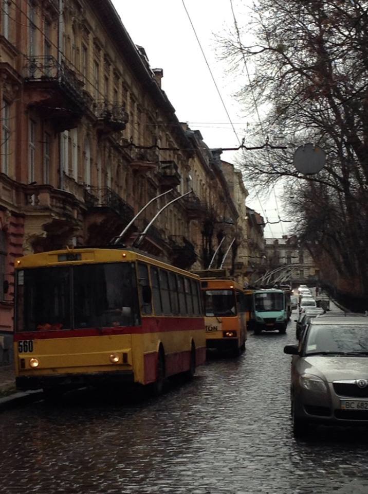 1507866_529328857174189_1555472734_n