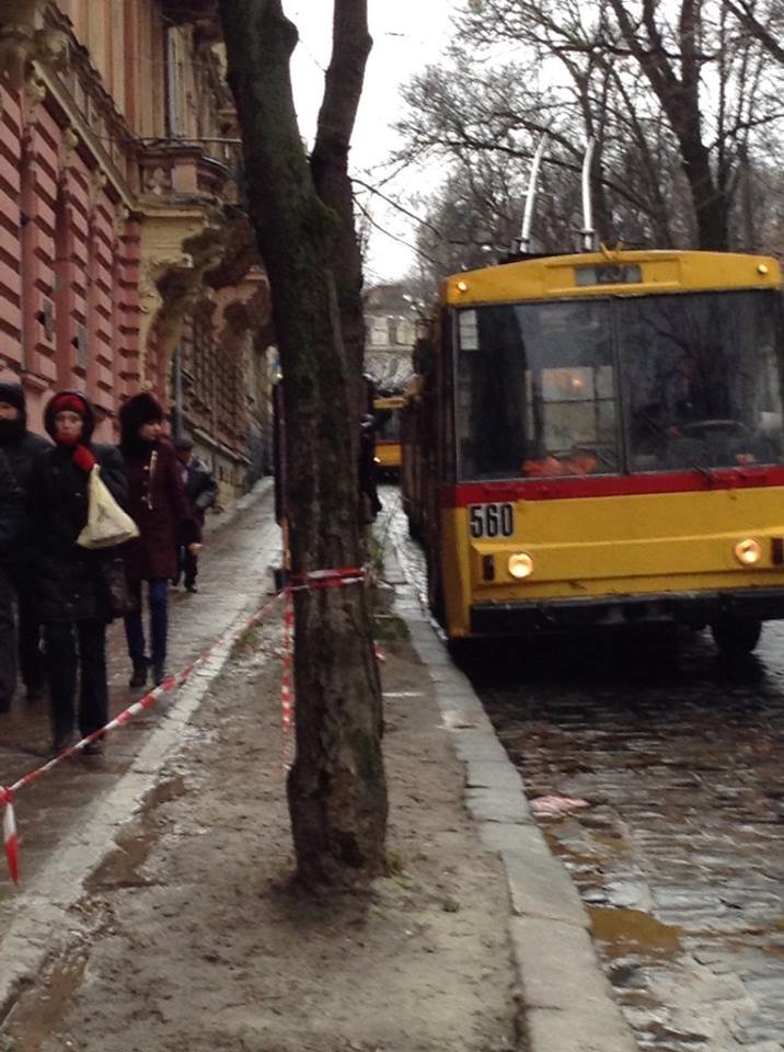 1560437_529328863840855_1590575918_n