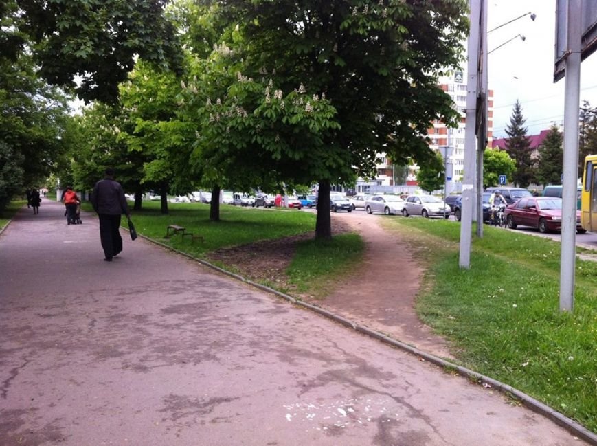 11215071_849184575135169_7510893465760468931_n