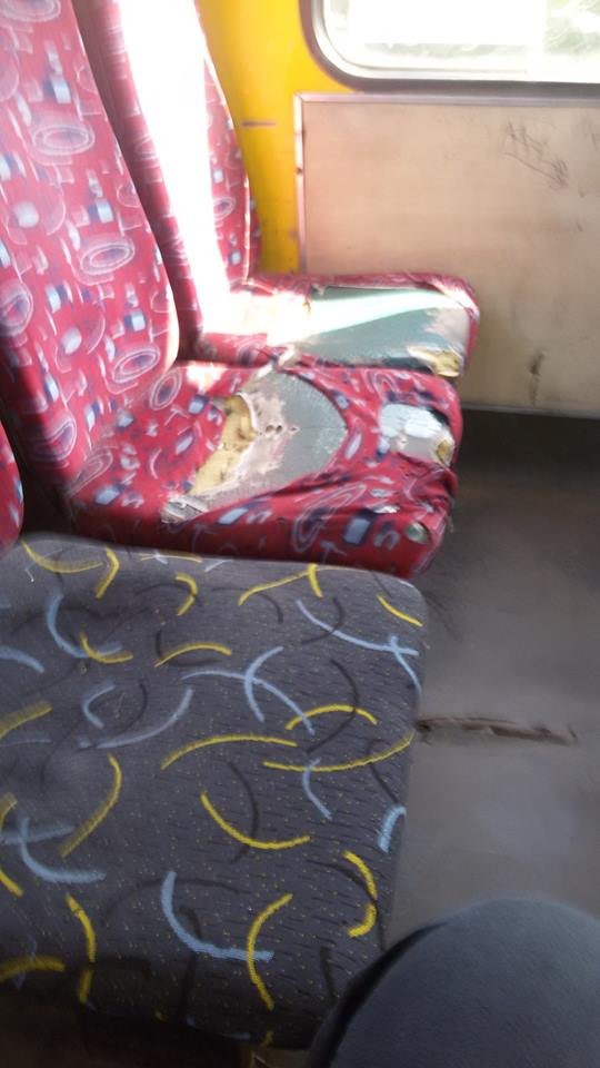 10156048_10153054081219492_8442786356849318974_n