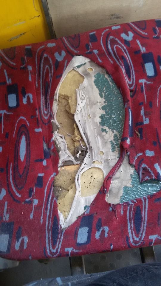 11537239_10153054083869492_2670012677097050933_n